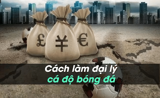 Cách nhà cái tính hoa hồng cho đại lý